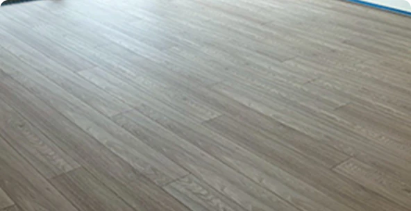 わんスタイルコーティング